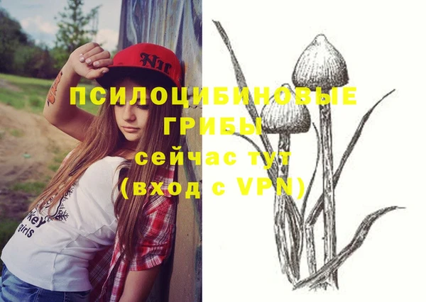 MESCALINE Няндома