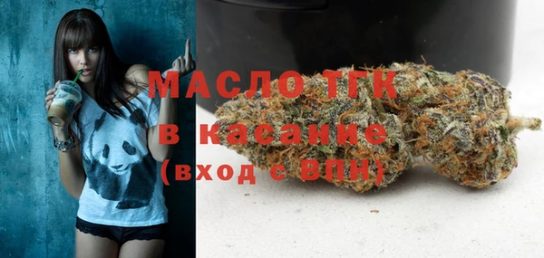 сатива Новодвинск