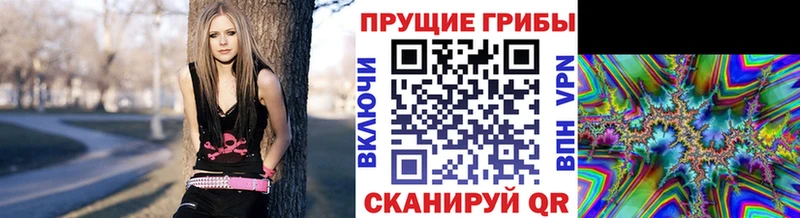 Псилоцибиновые грибы ЛСД  Магадан 
