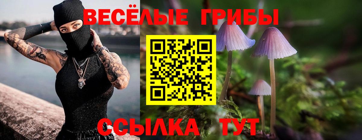 Магадан  Галлюциногенные грибы Psilocybine cubensis  Вход с VPN  Псилоцибиновые грибы ЛСД 