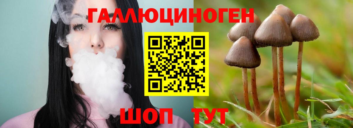 Галлюциногенные грибы Magic Shrooms  Магадан 